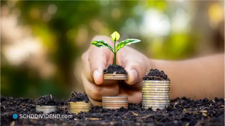 Growing investment concept with coins and a plant, representing long-term SCHD dividend growth.